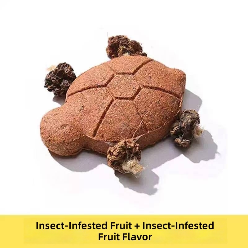 Fruit de galle d'insecte de menthe de tortue