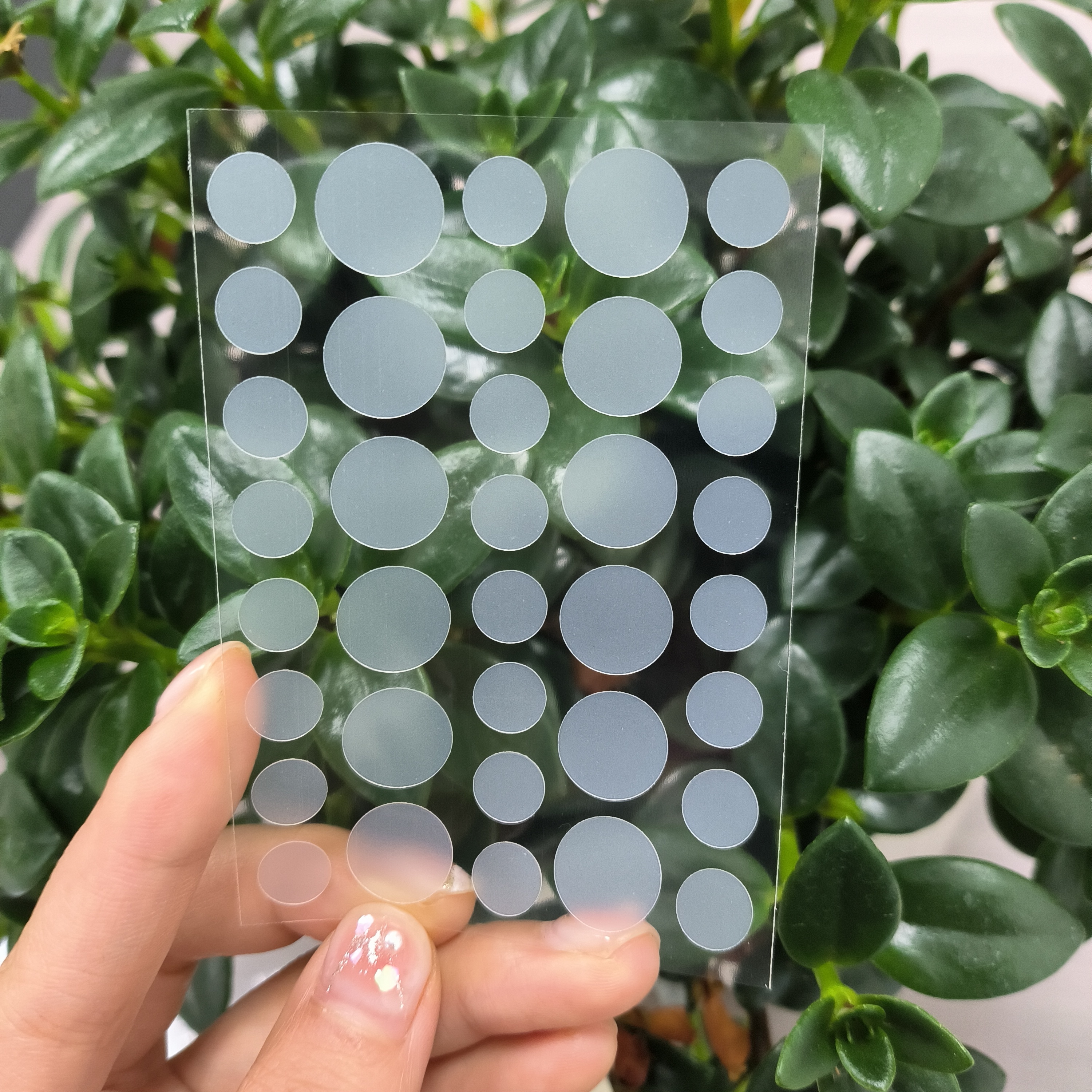 Transparent