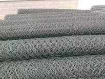 Пткачество из проволочной сетки с шестиугольными отверстиями - Product Image 5