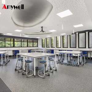 Installation College <strong>Lab</strong> Work <strong>Table</strong> Laboratory Furniture Equipment with Phenolic Resin Counter Top - Product Image 4