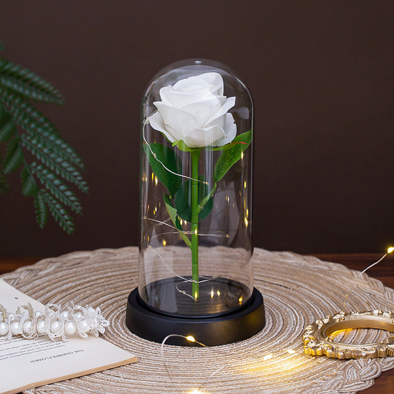 Base en plastique blanc-9