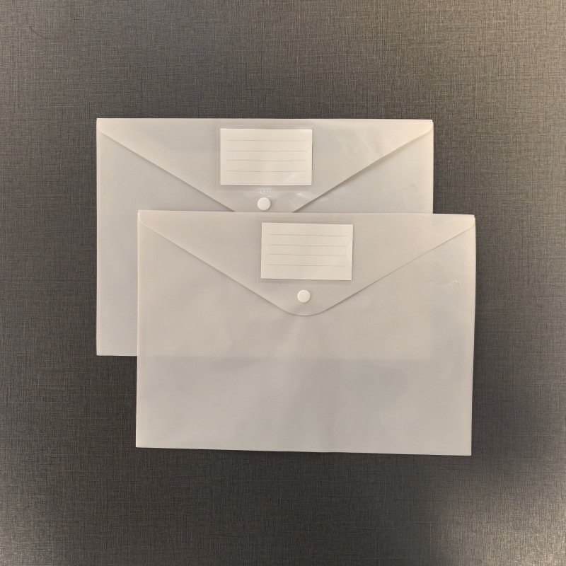 Grey semi transparent label file bag