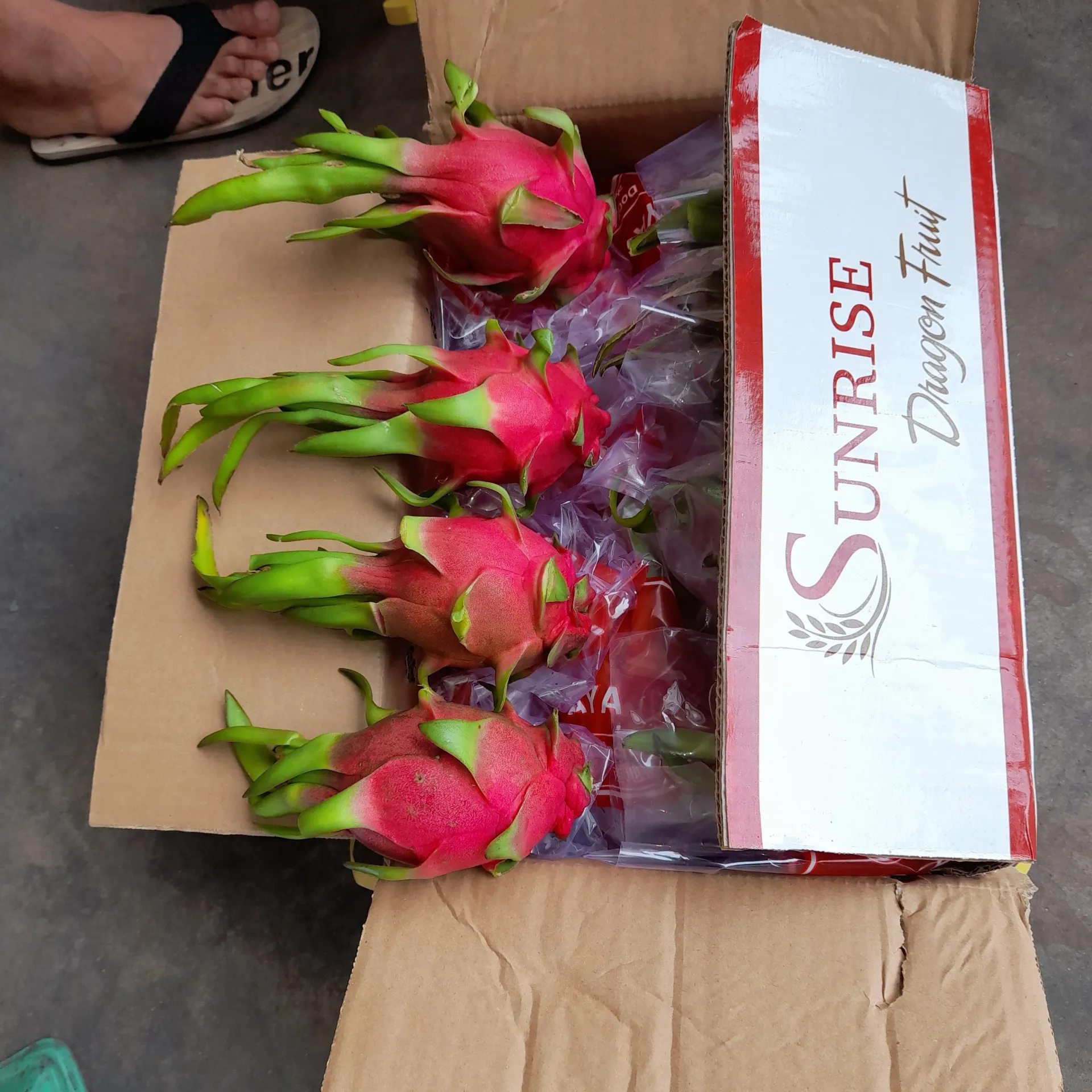 Piel roja y Rosa de 250-650gr, fruta fresca de dragón de Vietnam para la exportación, WHATSAP 0084, 989, 322, 607, precio al por mayor
