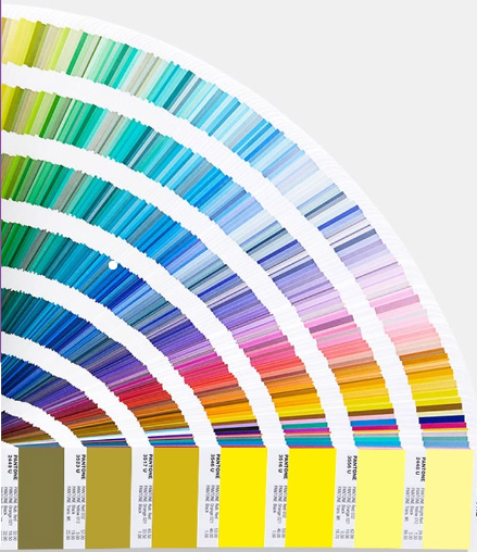 color personalizado