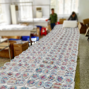 减数分裂模型10部分解释减数分裂的细胞分裂过程有助于理解遗传信息的传递和变异