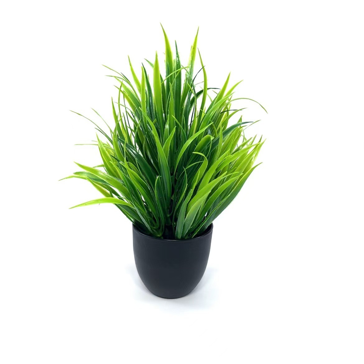 Green L