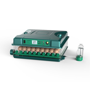 <span class=keywords><strong>2025</strong></span> New Arrival 64 trứng weiqian lồng ấp tự động nở Chick trứng nở máy - Product Image 1