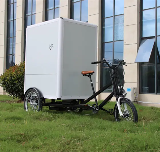 Bicicleta de carga Triciclo para adultos Triciclos eléctricos chinos para la venta