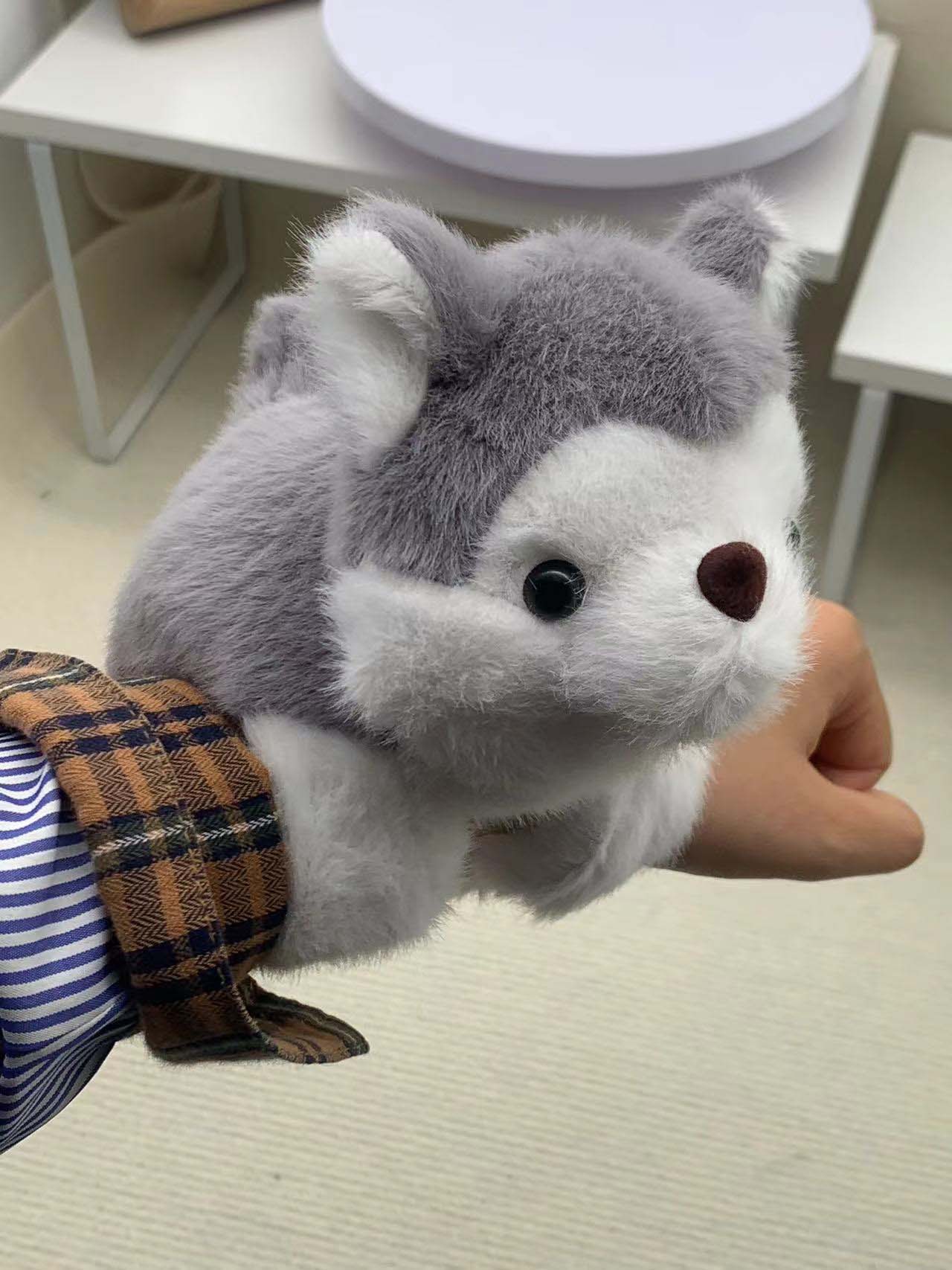 Círculo pop de Husky