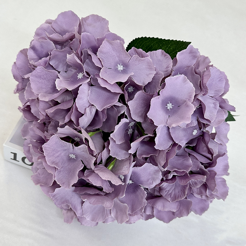 light purple