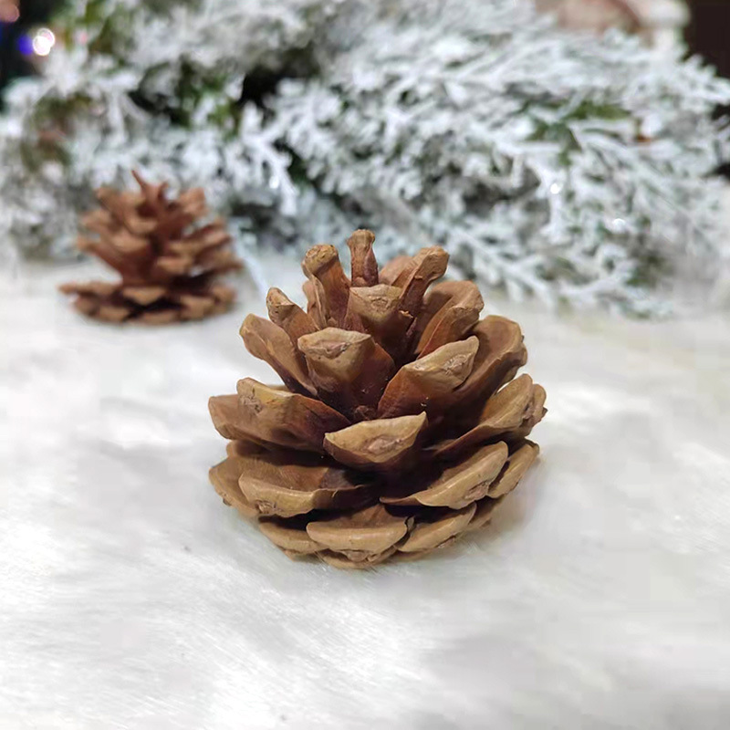 Brun, 3 à 4 pommes de pin