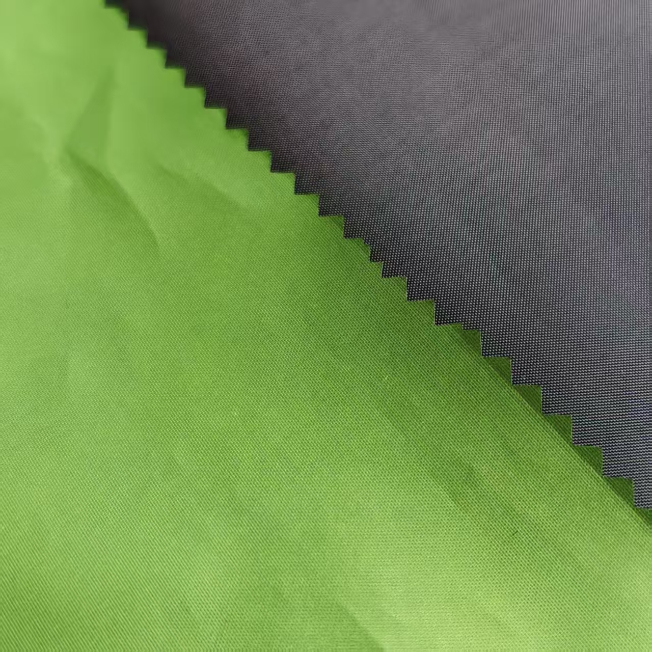 Vert