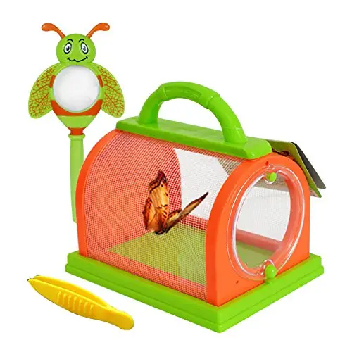 Storage Box Insect Cage Terrarium Tweezers Butterflies Rearing Silkworms Firefly Grasshopper Kindergarten Outdoor Experiment