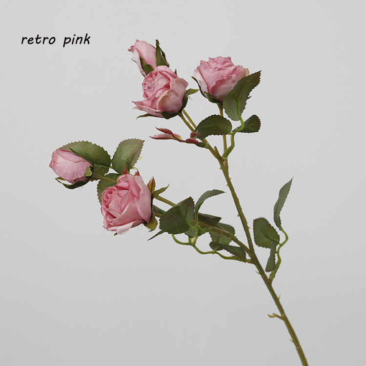 #3 rose rétro