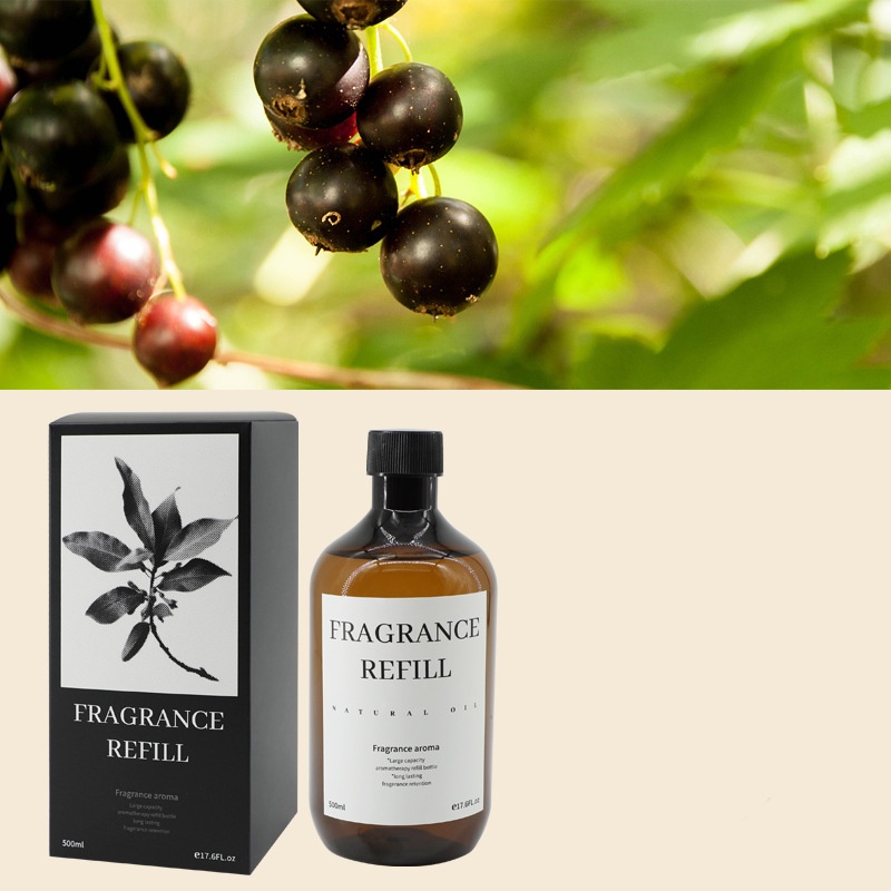 Océan 500 ml (bâtons de roseaux non inclus)