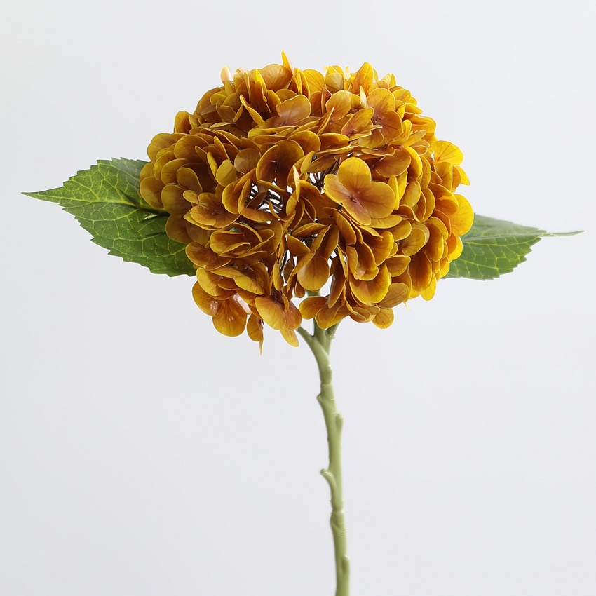 Giallo dorato