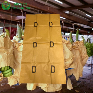 Mango and Guava Fruit Protection Bags - Product Image 4