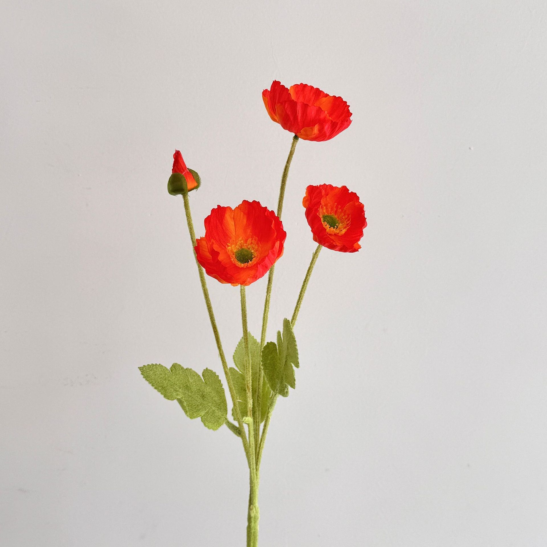 Tramonto