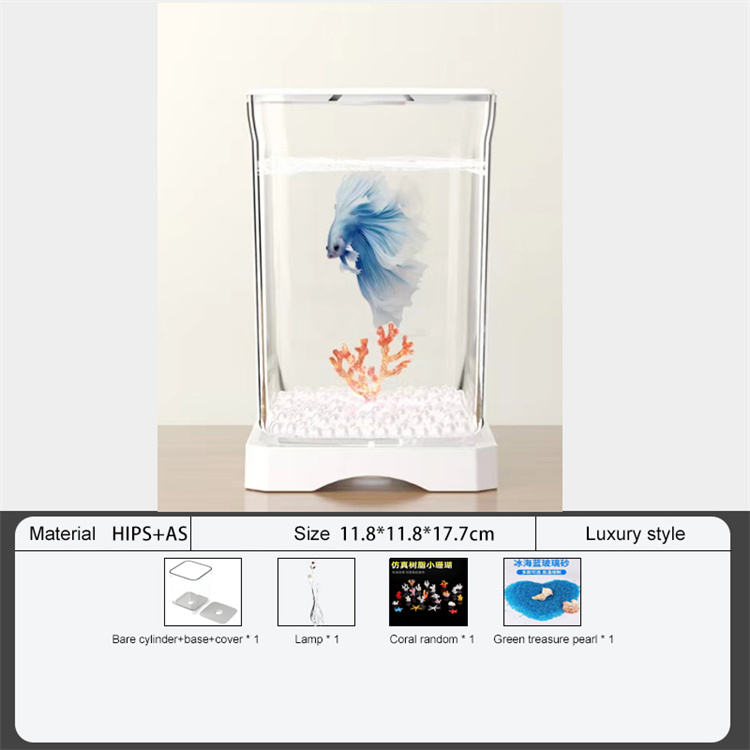 แสงสีขาว + การตกแต่ง