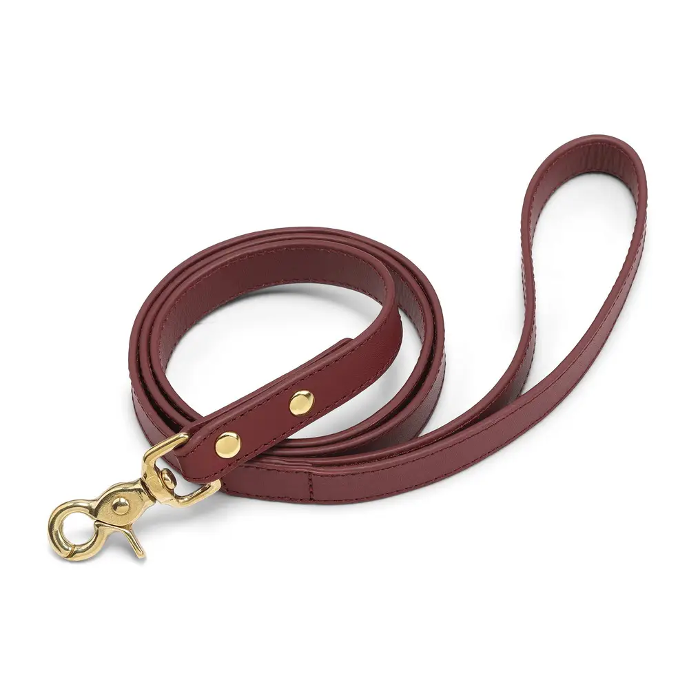 OEM accept-correa ajustable para collar de perro y arnés reversible, conjunto de correa de cuero para perro