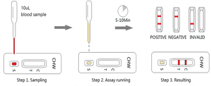 Distemper Leptospira y hepatit Ag Combo hızlı Test 17 kanin Distemper, Leptospira y hepatit - Product Image 6