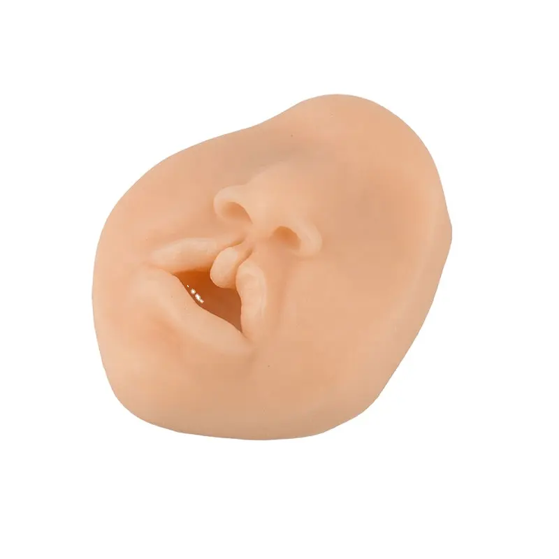 Medische Chirurgische Training Oefenpad Pasgeboren Bilaterale Compleet Pediatrische Gespleten Lip En Gehemelte Simulatormodel