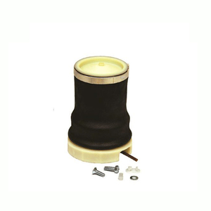 5001836461, 3090585, 93161385 F/FL 6/FM 7/FLC/FH/FM/FMX/NH9/10/11/12/13/16 Suspension à ressort pneumatique - Product Image 2