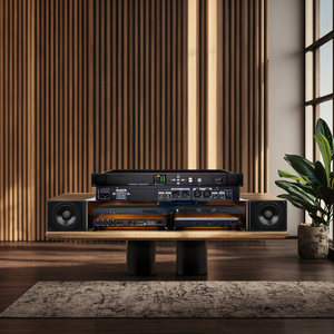 Supresor de retroalimentación de iluminación de audio y video profesional Audio digital FBX1000 100W Controlador de pantalla LED Destruye la retroalimentación de audio - Product Image 4
