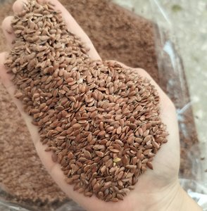 Fabrik preis Ya Ma Zi Getrockneter Leinsamen Hochwertige getrocknete Leinsamen Natürliche braune Farbe Leinsamen - Product Image 5