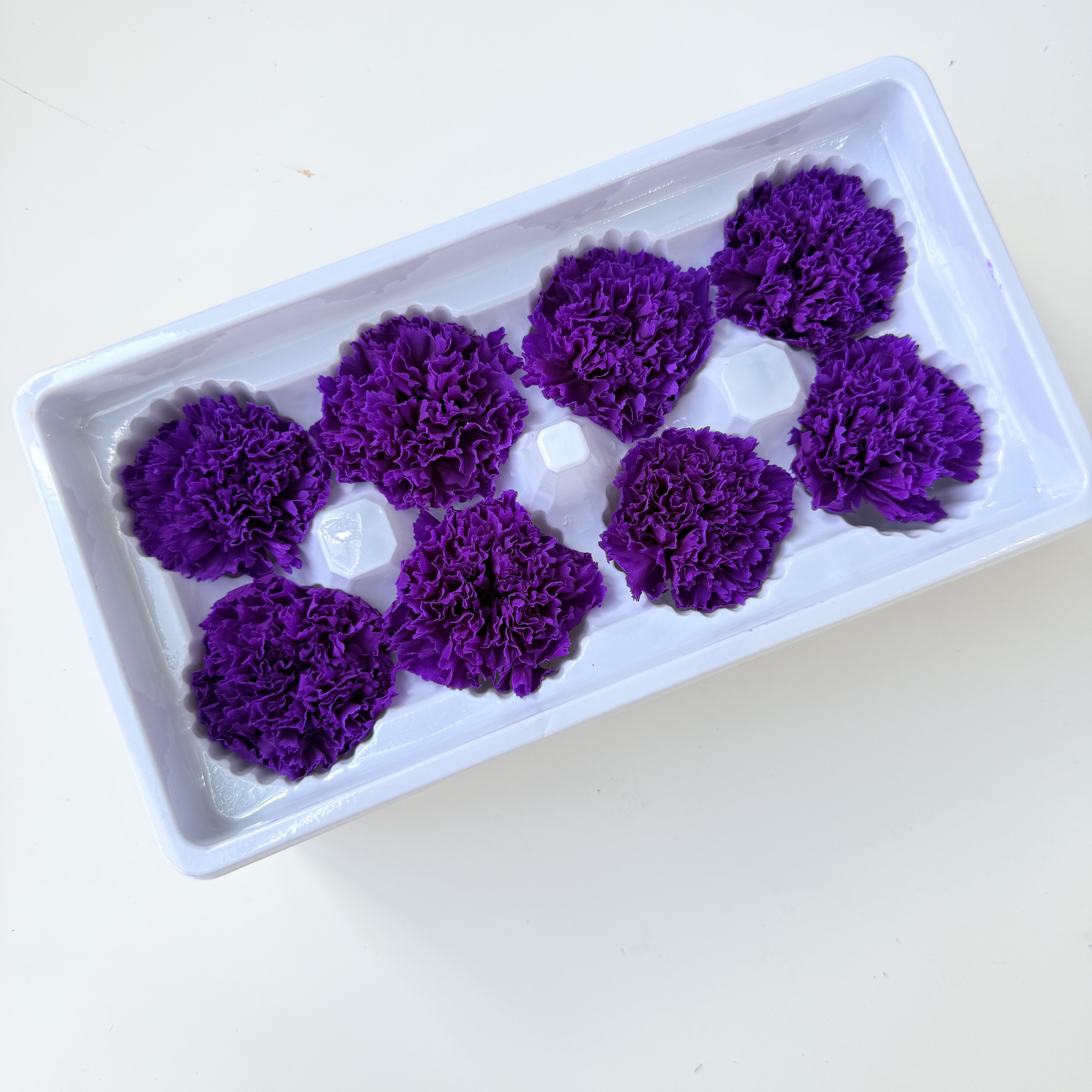 dark purple