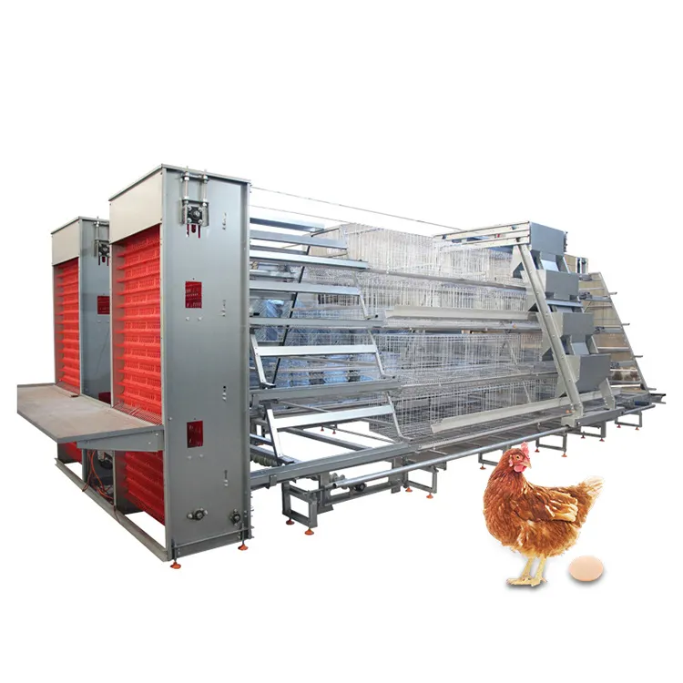 Geflügel zucht Voll automatisches Batteries ystem H Typ Ei Huhn Schicht käfige Hühner maschine Hühnerstall