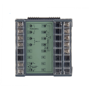 Display digitale Controller Multi ingresso Multi uscita One Loop tipi di forma Standard a filo - Product Image 2