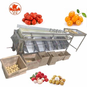 Walnuss-Areca-Nuss-Sortiermaschine mit großer Kapazität Lebensmittels ortier maschine - Product Image 4