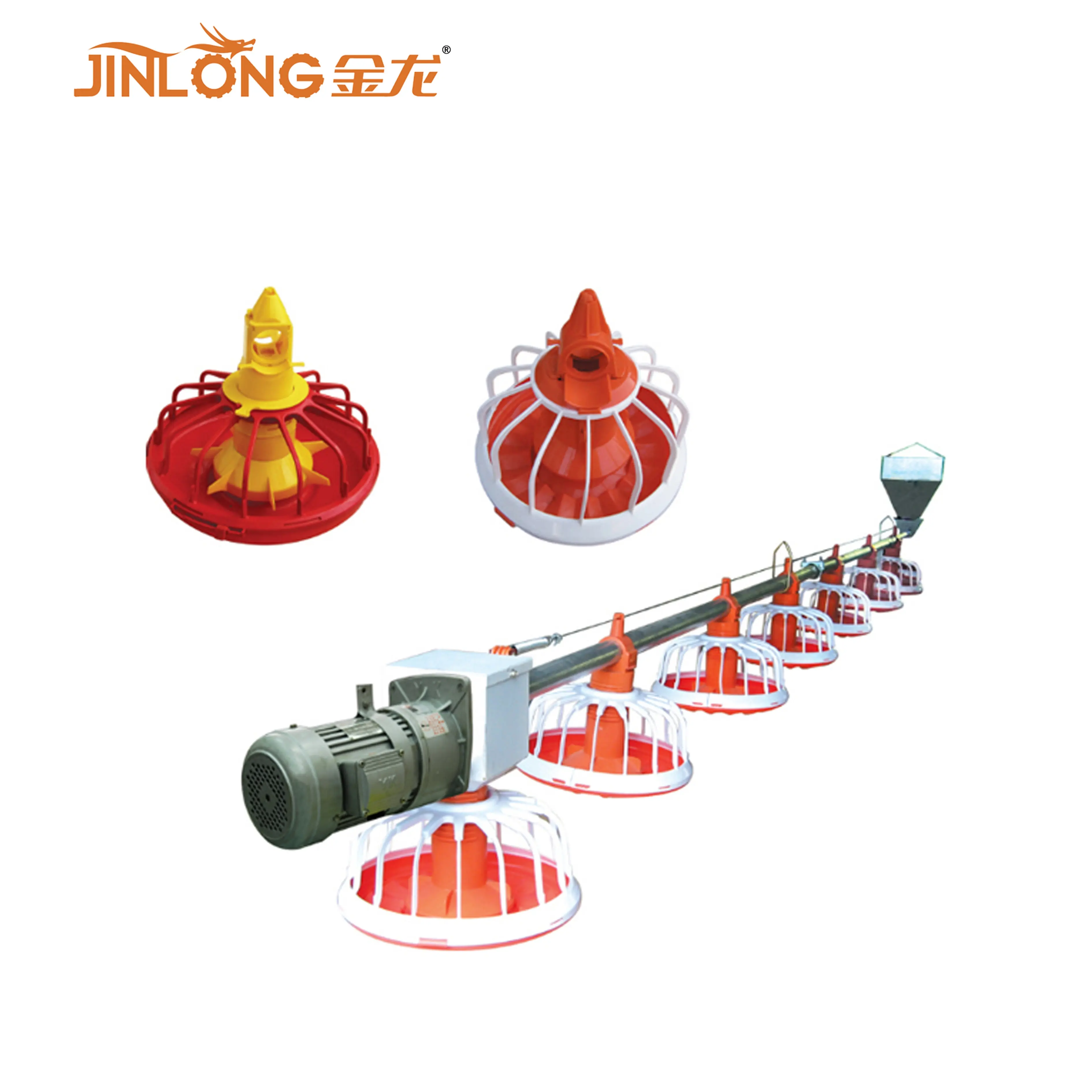 Jinlong-alimentadores automáticos de aves de corral, sistema alimentador de cadena para pollos