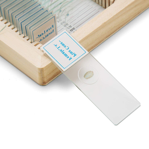 100pcs khác nhau động vật mô học chuẩn bị kính hiển vi Slide cho động vật học giáo dục - Product Image 2