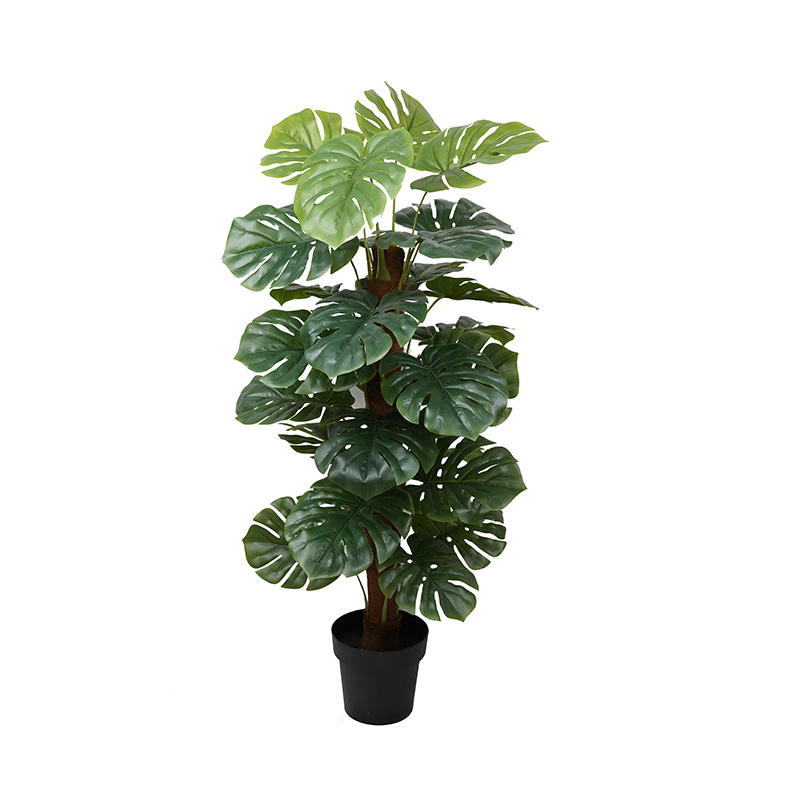 Verde-TZL2503027