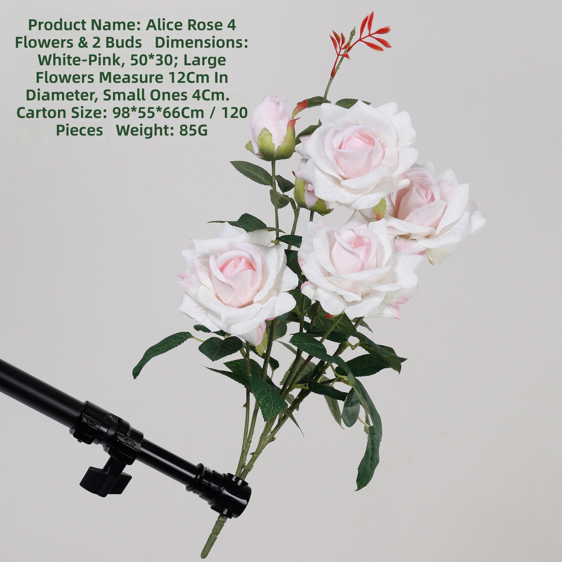 Blanc Rose
