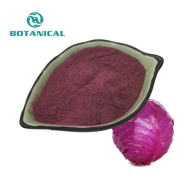 Natural Extract Anthocyanidins 25% Purple Kale Extract Powder Red Cabbage Extract