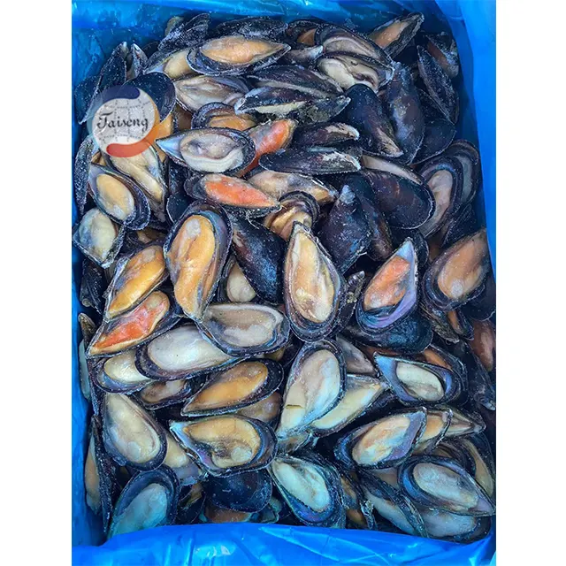उच्च गुणवत्ता जमे हुए मांस के साथ आधा mussels ब्लू सीपी गोले