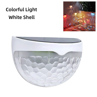 White Shell+ Colorful Light