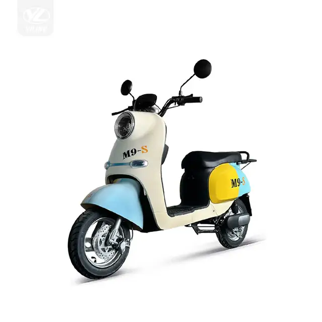 Il classico scooter elettrico può viaggiare a lunga distanza da due persone può essere installato il freno a tamburo del freno a disco della coda è facoltativo