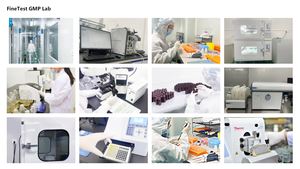 FineTest özel insan LEP ELISA seti bilimsel araştırma Leptin test kiti hızlı test kimyasal reaktifler - Product Image 4