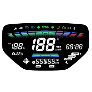 OEM ODM personalizza VA lcd BTN modulo display MONO display lcd ebike per veicoli E-bike - Product Image 1