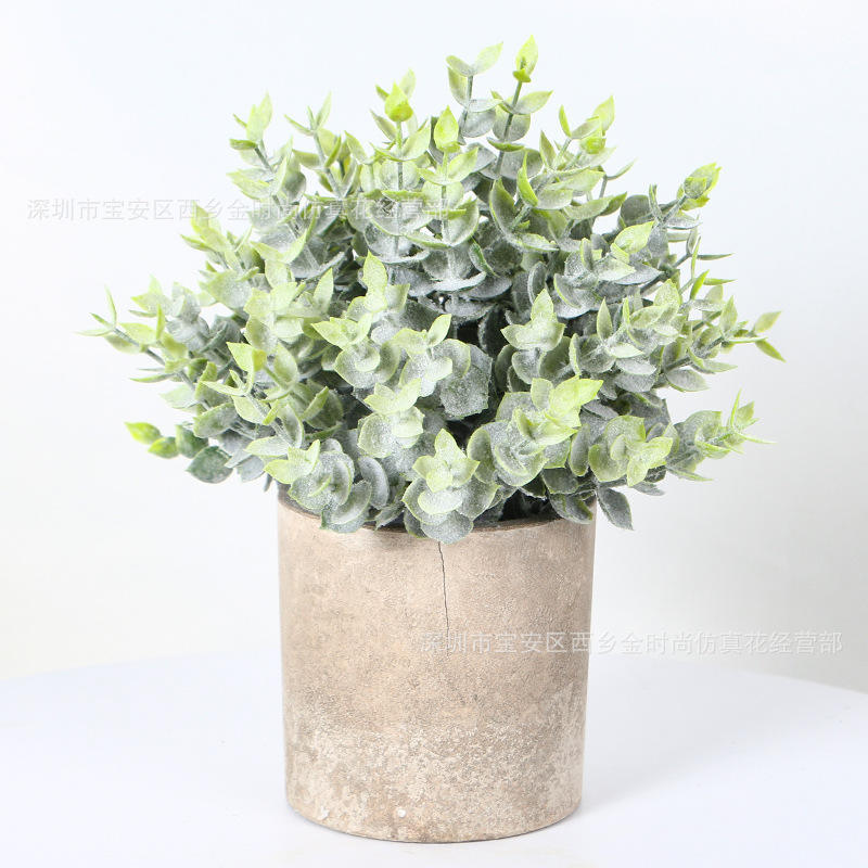 Pot d'eucalyptus floqué