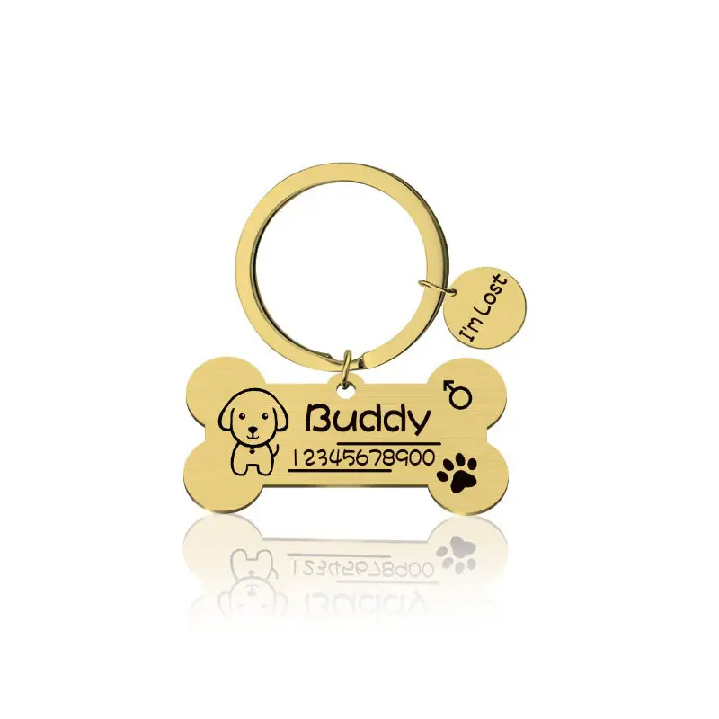 Personalizzato placcato oro 18 carati Pet ID nome inciso ciondolo osso gatto cucciolo cane collare carino per la prevenzione della perdita portachiavi