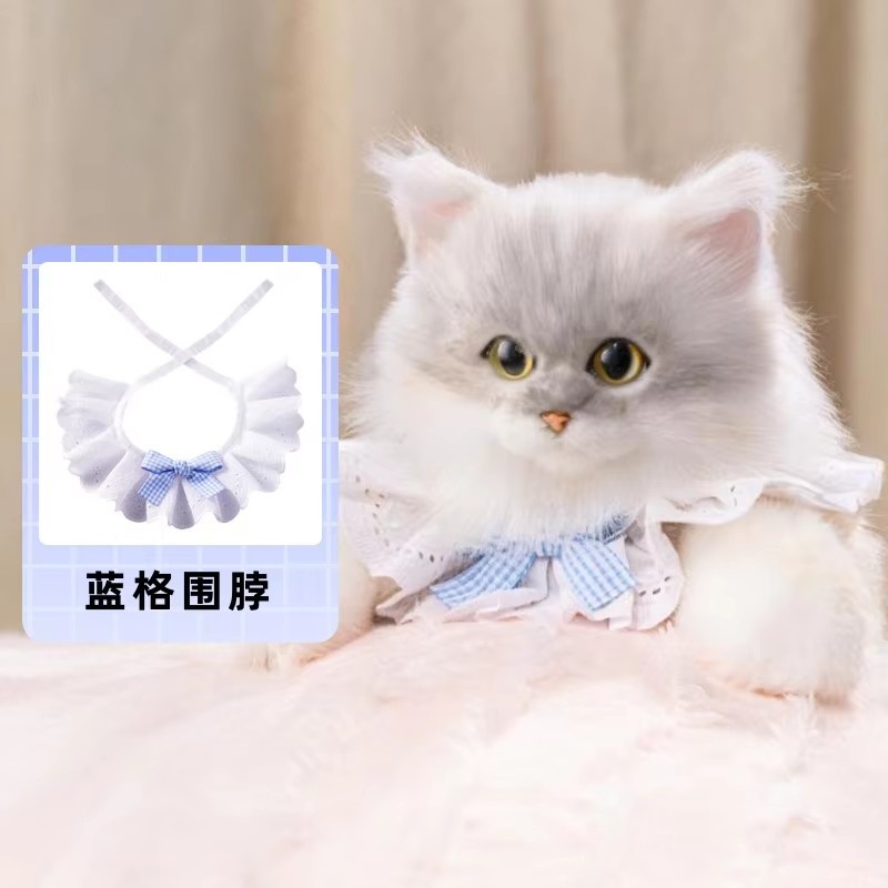 Chinchilla + bufanda azul a cuadros