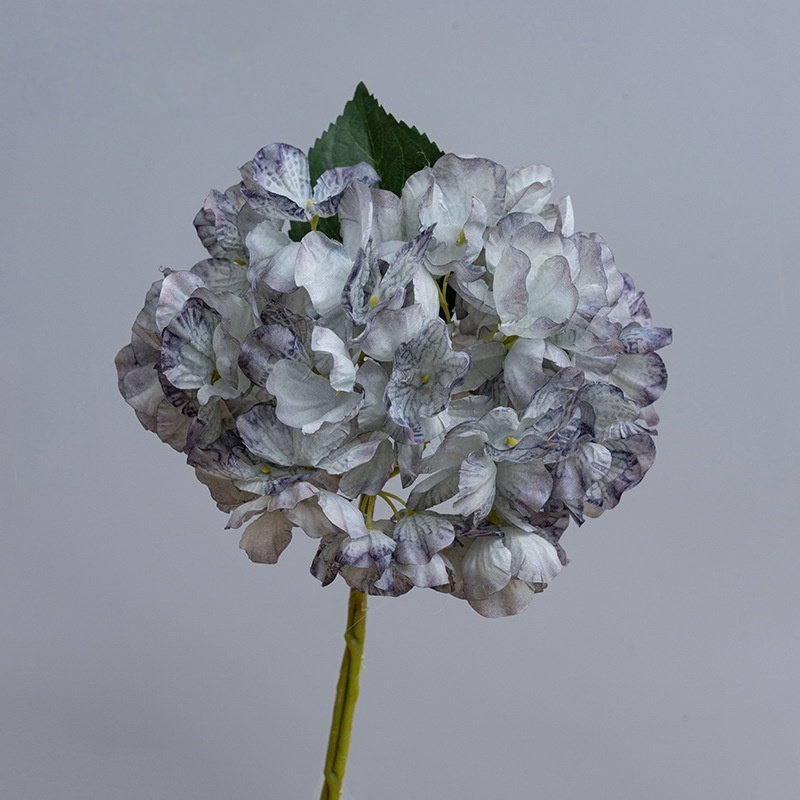 Grigio scuro