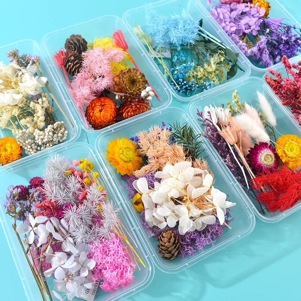 Flores secas prensadas JF072, flores secas mezcladas al azar para DIY, resina epoxi, artesanía, materiales de arte de uñas