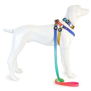 Arnés para perros personalizado de alta calidad, diseño degradado de 5 pies, correa de nailon reflectante, hermosa forma de Y, comodidad para perros - Product Image 4