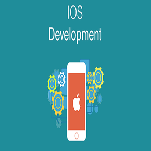 Php ออกแบบเว็บไซต์ - Product Image 5